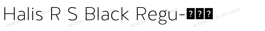 Halis R S Black Regu字体转换